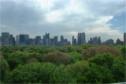 Central Park from the Metropolitan Museum